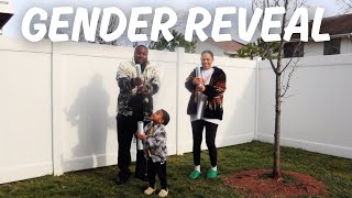 BOY OR GIRL? gender reveal for baby #2! 💙🩷