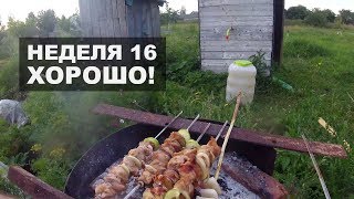 Неделя 16. Хорошо!