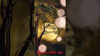 পাখি লগা মোৰ মন song status