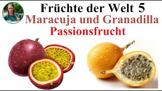 Früchte der Welt 5 – Passionsfrucht Maracuja und Granadilla Pflanzliche Rohkost