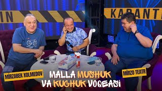 Mirzabek Xolmedov - Malla mushuk va kuchuk voqeasi