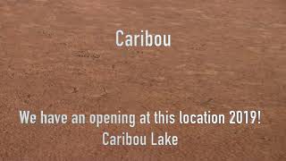 60 Inch club offers world class D.I.Y. hunting for club members in Alaska. Welcome to CARIBOU LAKE.