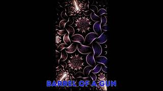 Barrel of a Gun