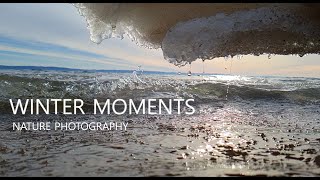 Winter moments 2021 - Cinematic nature photography