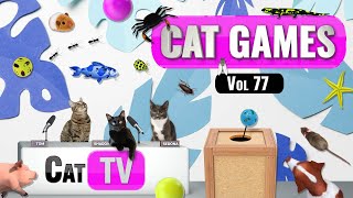 CAT Games | Ultimate Cat TV Compilation Vol 77 | 3 ЧАСА 🐝🐞🦋🦎🦜🐜🐭🧵