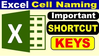 Function Key in Excel  | Cell Naming in Excel | Add Border | Excel Shortcut | Shortcut of MS Word |