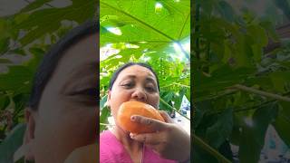 DELICIOUS BIG MANGO.. 😋🥭#makan#mukbang#mango#fruits#viralvideo#shorts