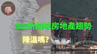 【EP28—2022年新加坡房地產走勢|房租會下降嗎？現在可以買房嗎？可以置換嗎？房地產投資收益是怎樣的？】