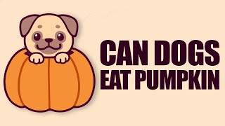 Is Pumpkin really SAFE for Dogs to eat?