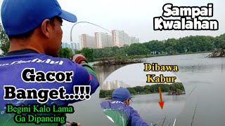 Dibuat Kwalahan!!! Sampai Dibawa Kabur,Mancing Mujair Disini Gacornya Kelewatan||Spot Sungai Tirem