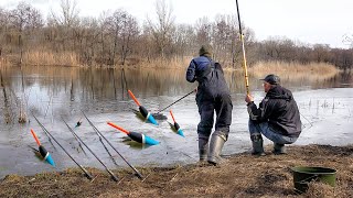 Весенняя рыбалка на поплавок 2024: Ловля на манку в марте