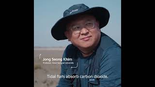 Activist Mina Sue Choi explores the possibilities of tidal flats in the blue carbon ecosystem. #Kia