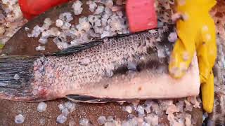 Big snakehead fish is being cut to make dry fish, Market Life, Making dry fish