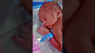 Most Cute baby #shortvideo #viralvideo #shorts #cuet