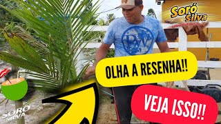 Soró Silva - Plantação de cocó e Resenha!!