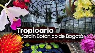 Tropicario del Jardin Botanico de Bogota | Finca Dracula