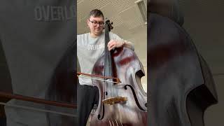 Mahler - Symphony No.1, double bass solo ( 3 Part )