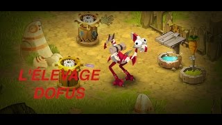 L'ÉLEVAGE SUR DOFUS !