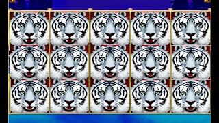 카지노 슬롯 호랑이 보너스게임 casino slot tiger bonus game so so