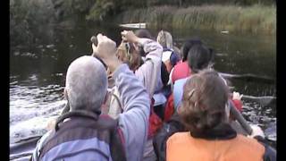 Paddling Dugout Canoes in Soomaa National Park.AVI