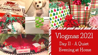 2021 Vlogmas Day 11- Quiet Evening at Home, Making Lavosh, Apple Propellent & Gift Wrapping Tips