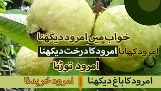 Khwab Mein Amrood Dekhna (امرود) Ki Tabeer in Urdu