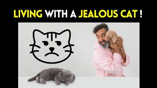 Living with a Jealous Cat | Sharing a Jealous Cat | Understanding and Managing Jealous Cat Behavior