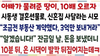 (반전신청사연)아빠가 물려주신 땅이 10배가 오르자 시동생 결혼선물로 신혼집 사달라는시모 "부동산 계약했다 3억만 보내거라" 잔금일날 돈 보냈더니[신청사연][사이다썰][사연라디오]