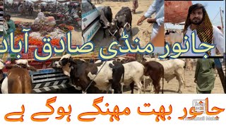 جانور بُہت مہنگےہوگےہے Sadiqabad Janwar mandi #janwar #newvlog #foryou