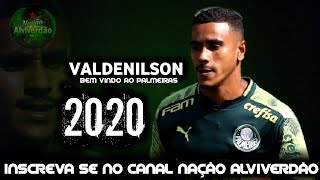 Valdenilson ● Bem Vindo ao Palmeiras ● SKillS 2020 ● Goalls ● Dribbling ● HD