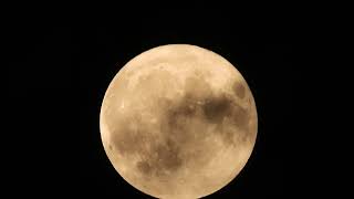 Full Moon Supermoon Blue Moon. August 19, 2024, Monday.