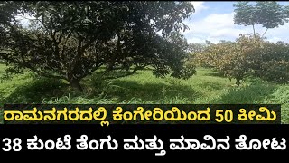 38 Kunta Farm Land for sale at Channapatna, Just 50 km from Kengeri, Bangalore 🥭🌴