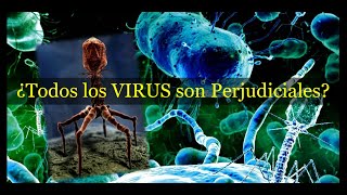 Existen VIRUS Beneficiosos para el Ser Humano? Cuales son? Que hacen?