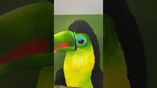 #shorts #shortvideo #acrylicpainting #painting #birdpainting #birds #canvaspainting #tucan