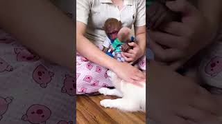 Mom takes care of Bibi and Bibi's siblings #babymonkey #monkey #monkeybibi #viralvideo #shorts