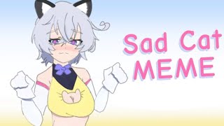 Sad cat dince / oc / meme animation (Flipaclip)