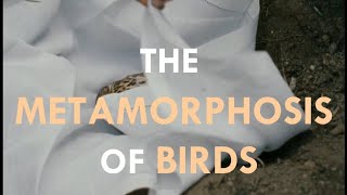 The Metamorphosis of Birds (Dir. Catarina Vasconcelos)