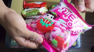 Dagaon Delightful Korean Snack Box 22 Count Unboxing