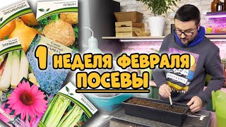 Что посеять в феврале? 1 неделя. Овощные культуры