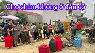 CHỢ CHIM CẢNH MÙA CHIM NON RỒI VÀ RẤT NHIỀU CHIM ĐẸP XUẤT HIỆN