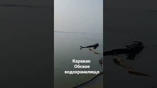 КАРАКАН. ОБСКОЕ ВОДОХРАНИЛИЩЕ