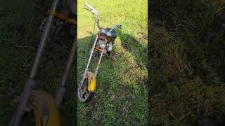 auction haul mini chopper #shorts