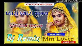 Pyari Pyari Mumal - Dj Remix || Rajasthani Folk Song 2024 || New Instagram Trending Song || 3D Remix