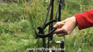 PONY LESSONS: Parts of a bridle