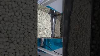 peas Packing #shorts #subscribe #short #shortvideo #shortsvideo #share #packaging #packagingmachine