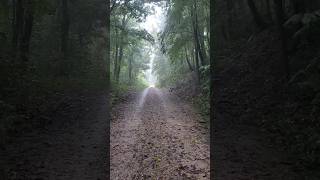 Pouring Out While Hiking Snake Road #snakeroad #hiking #hikingintherain