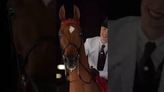 Some of my favorite country pleasure horses! #horse #champion #equestrian #saddleseat #saddlebred