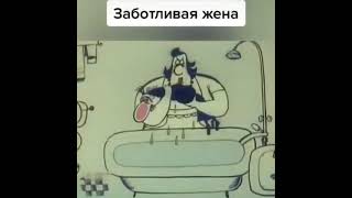 Заботливая жена