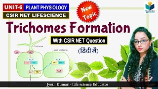 Trichomes Development || Plant Physiology | CSIR NET 2024