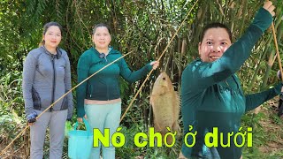 một buổi đi Câu Cá Rô không mong muốn - A perch fishing trip | Mỹ miền tây vlogs